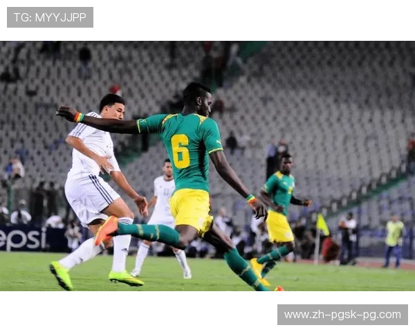 雄狮与黑豹非洲杯足球巅峰对决 雄狮与黑豹非洲杯足球巅峰对决